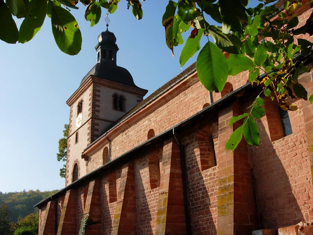 Chambres D'Hotes Les Vignes Saint-Jean-Saverne Экстерьер фото