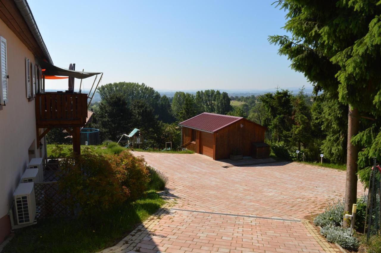 Chambres D'Hotes Les Vignes Saint-Jean-Saverne Экстерьер фото