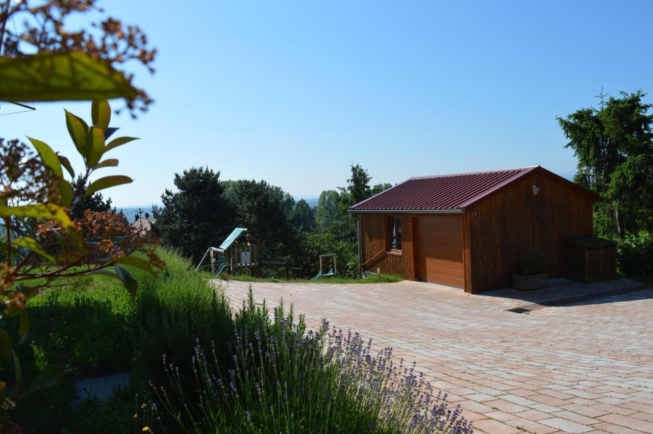 Chambres D'Hotes Les Vignes Saint-Jean-Saverne Экстерьер фото